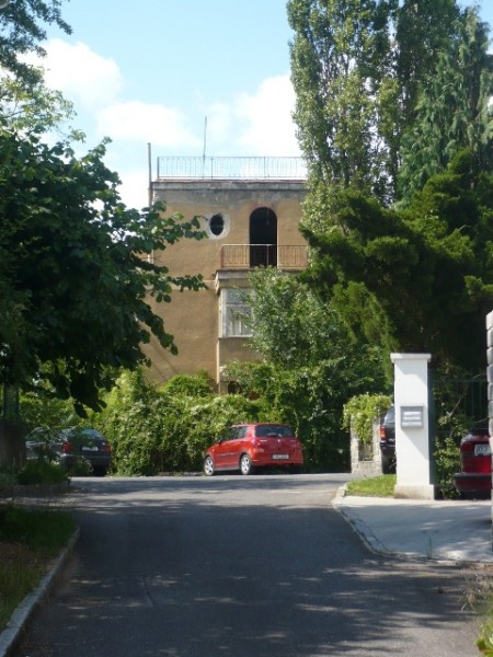 P1100561