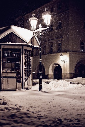 Winter10_V_by_VincBlack