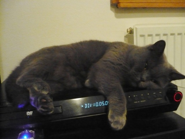 P1160682 (640x480)