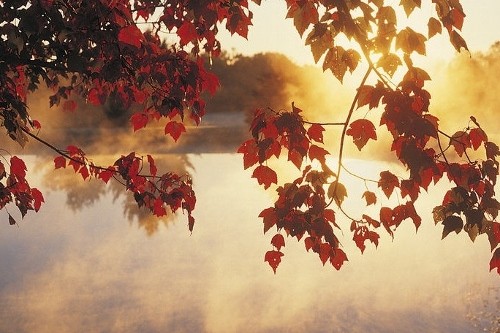 podzim5 (500x333)