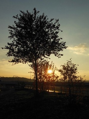 DSCN4797